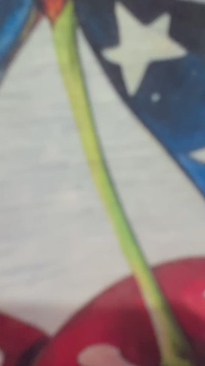 God Bless America - Bleached T-Shirt - Adult T-Shirt - Adult Small